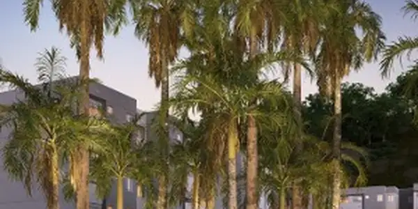 Foto de Bosque Jacarepaguá