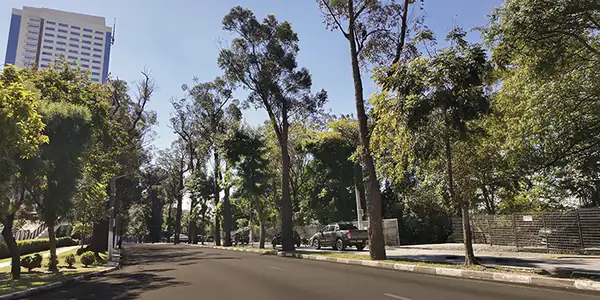 Foto de Autonomistas Osasco