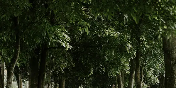 Foto de GFR Itu